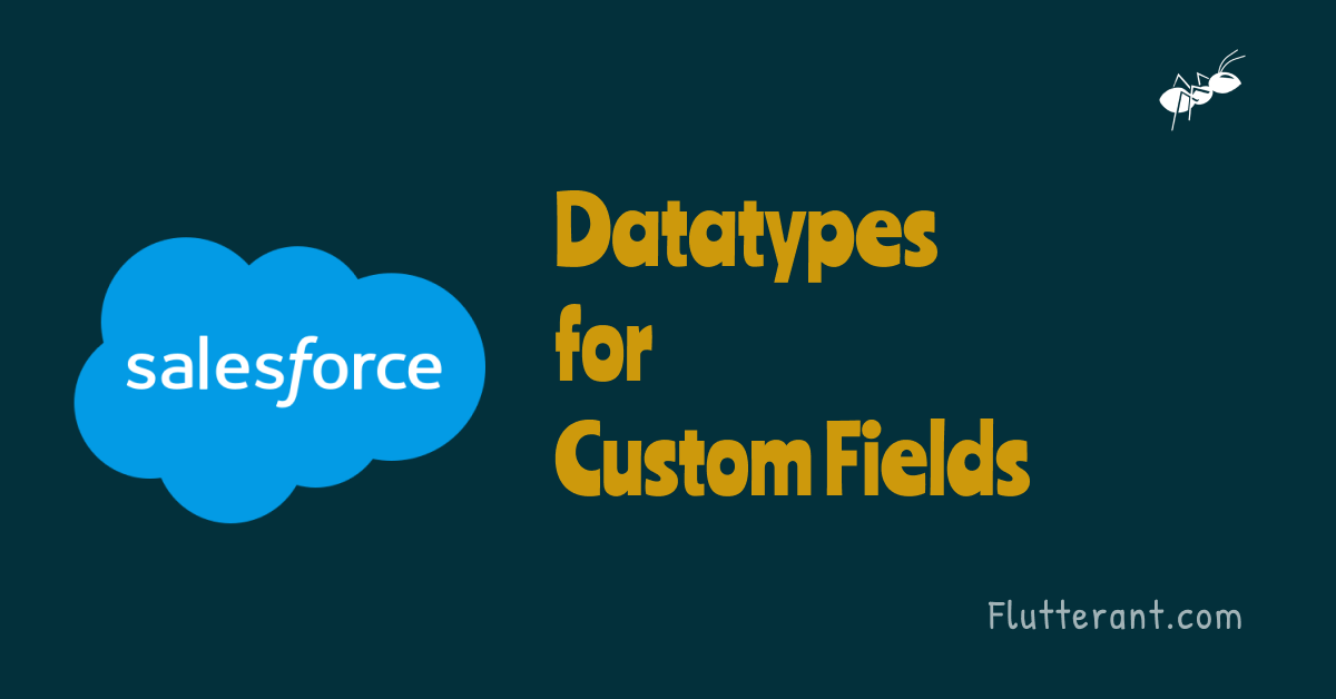 Datatypes for creating custom Fields